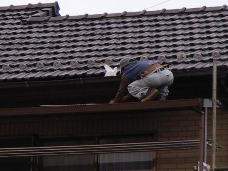 雨樋の手で取れる泥や埃を除去